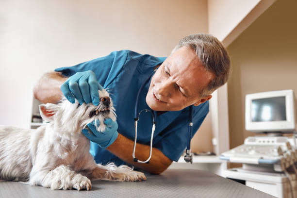 Best Emergency Care for Gum Disease in Flora, MS